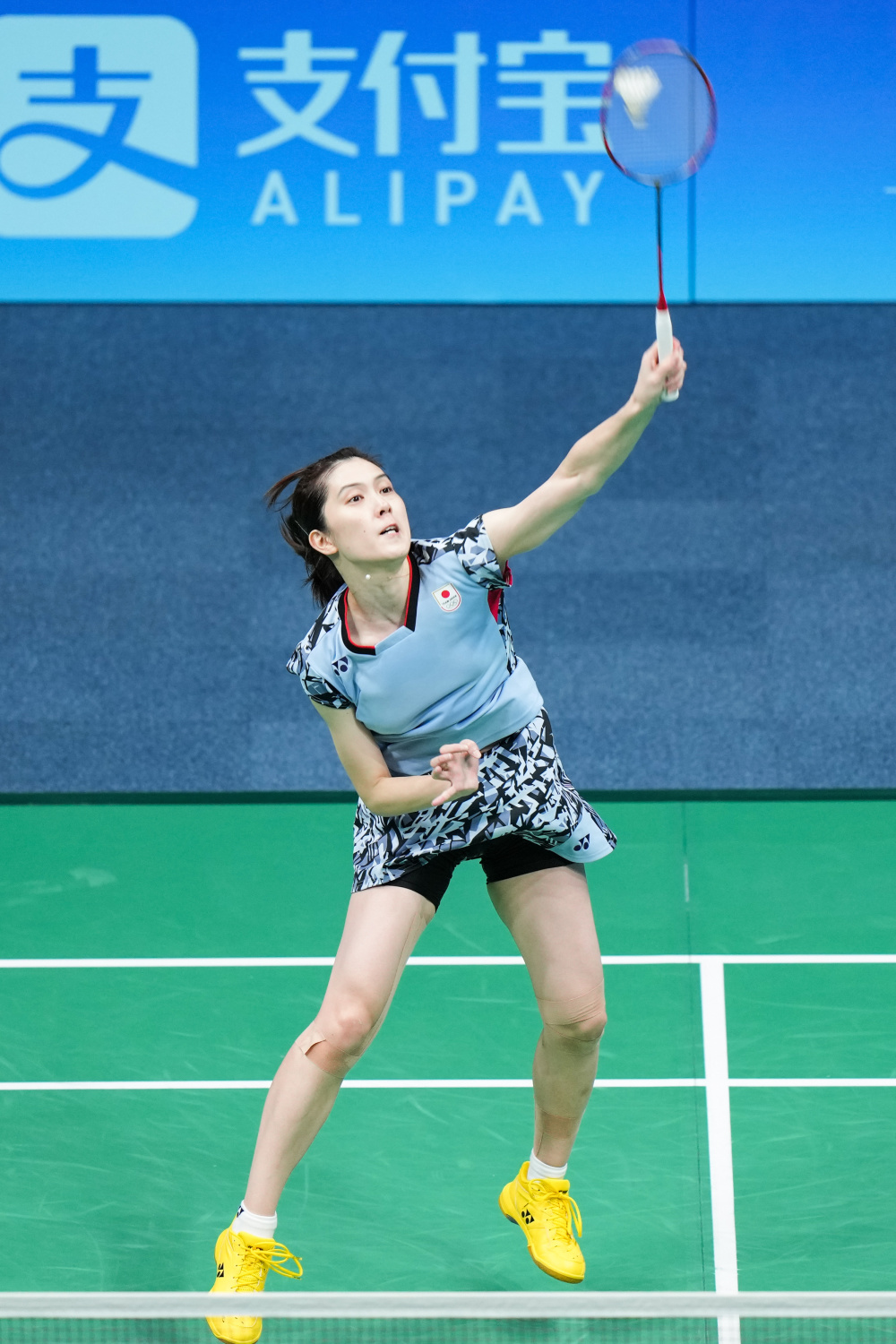 将成为我们 将成为我们